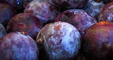 fresh acai berries