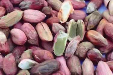 aflatoxins on peanuts