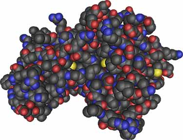 what AMPK enzyme looks like