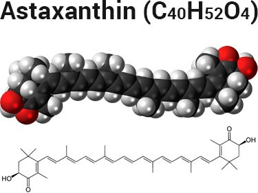 astaxanthin molecule and chemical formula