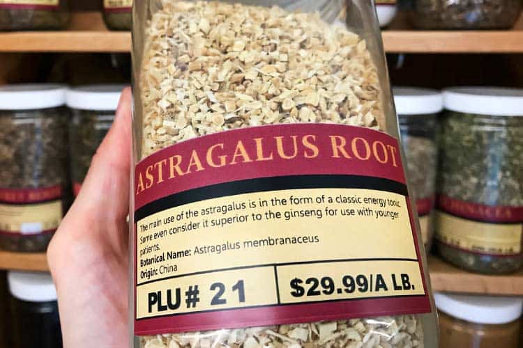 astragalus root