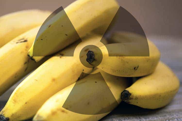 bananas with radiation symbol