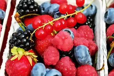 basket of raspberries, blueberries, strawberries, blackberries, and red currants