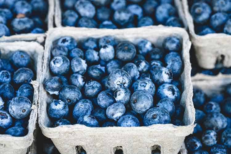 pints of fresh blueberries