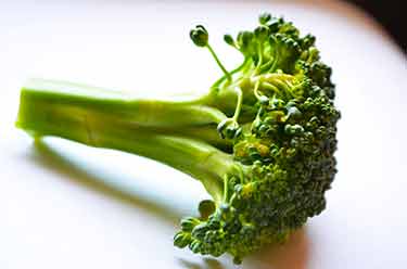 broccoli spear