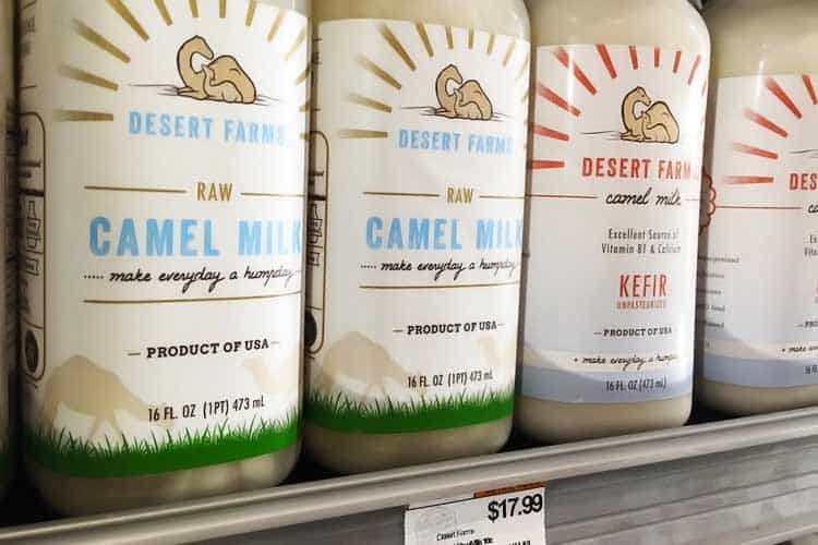 raw camel milk