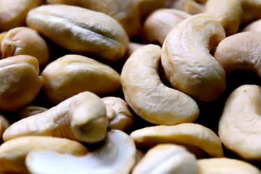 cashew nuts, close-up photo