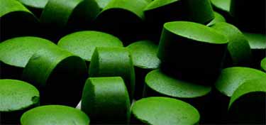 chlorella tablets