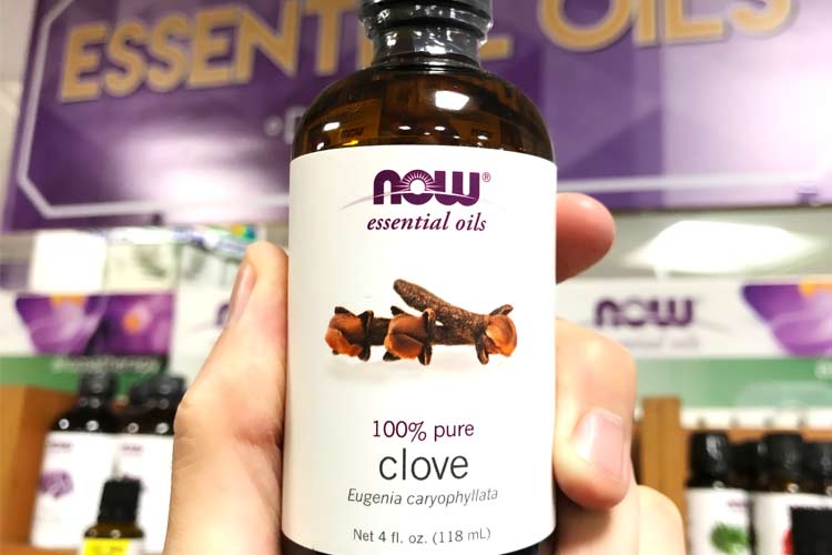 Now Foods clove essential oil