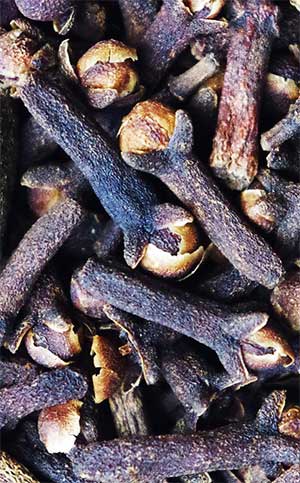 raw clove spice