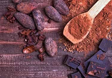 cacao beans, powder, bars