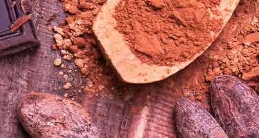 cocoa powder and raw beans