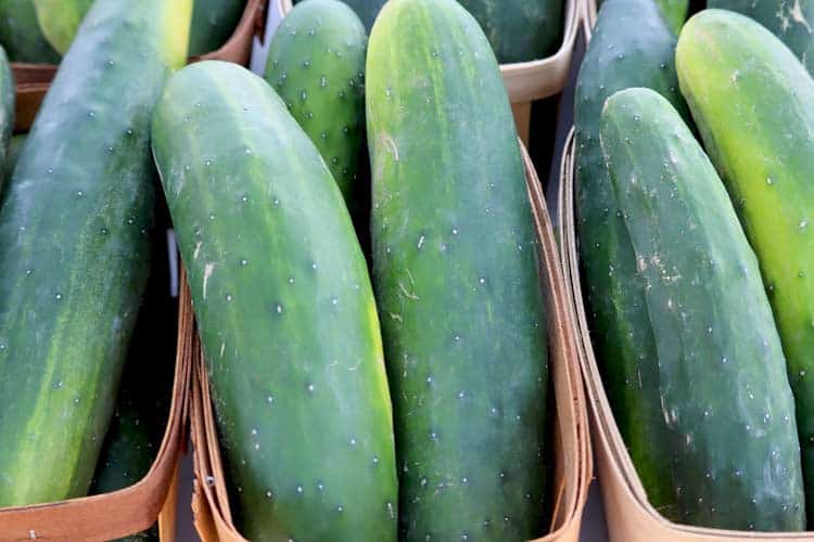 large cucumbers in baskets at farmer's market