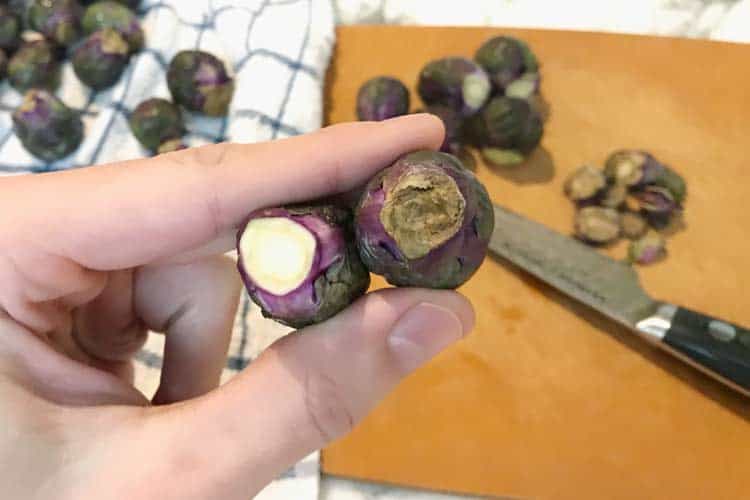 contrasting the bottom of Brussels sprouts after being cut