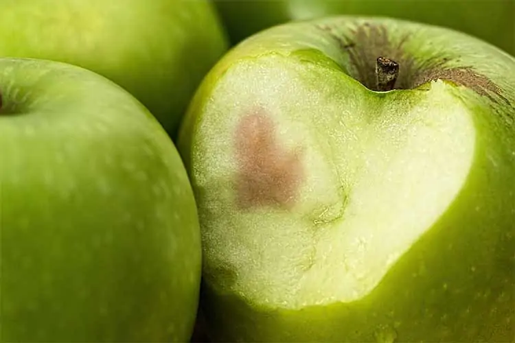 rotting apple