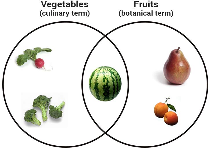 venn diagram showing difference between fruits and vegetables