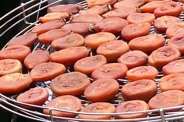 dried persimmons