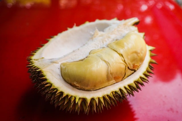 durian fruit