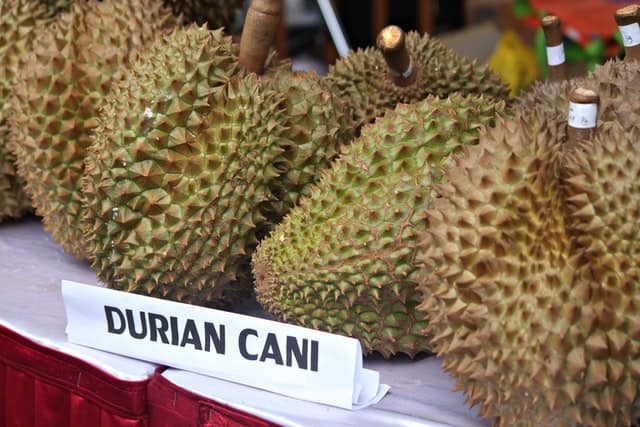 durian fruit