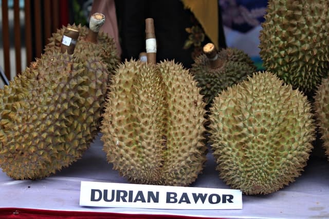 durian fruit