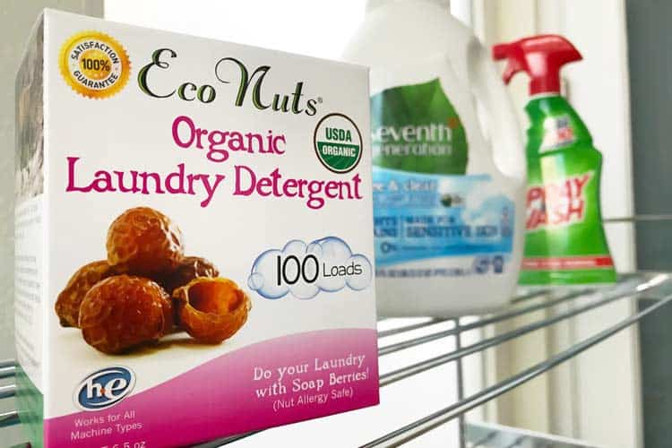 Eco Nuts organic laundry detergent