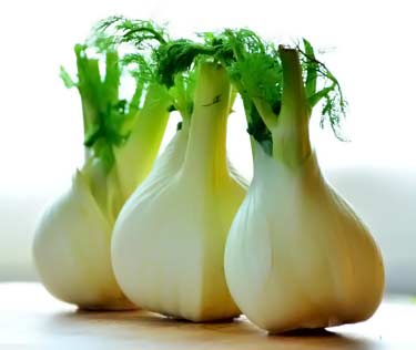 fresh fennel