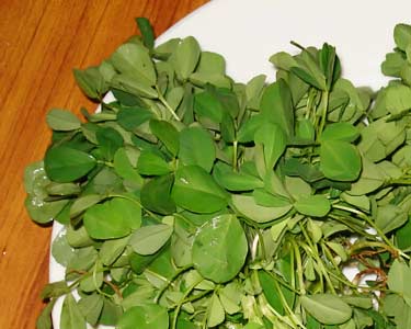 fresh fenugreek leaves