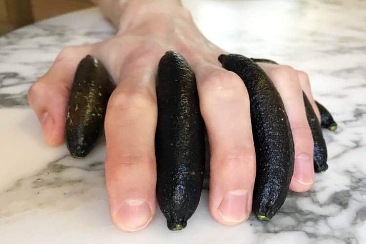 finger limes