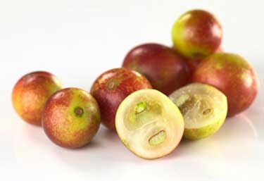 fresh camu camu berries