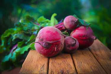 fresh red beets