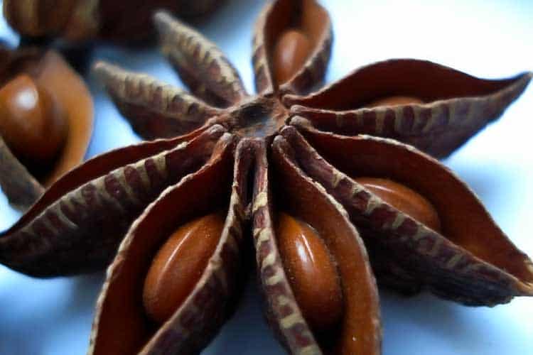 fresh star anise spice