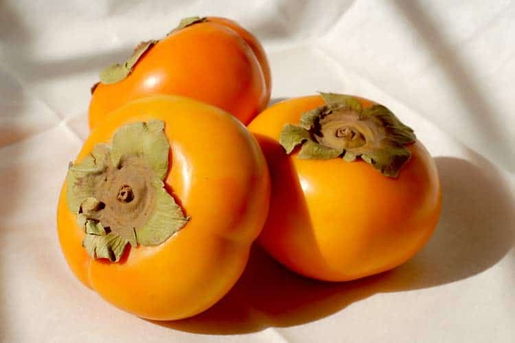 fuyu persimmon