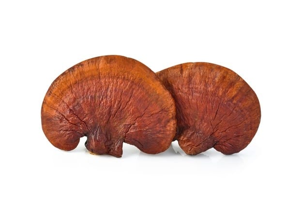 ganoderma-mushroom-superfoodly