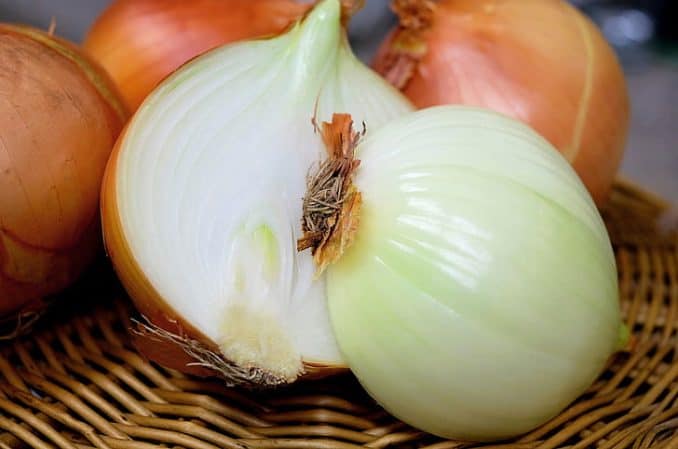 Garlic