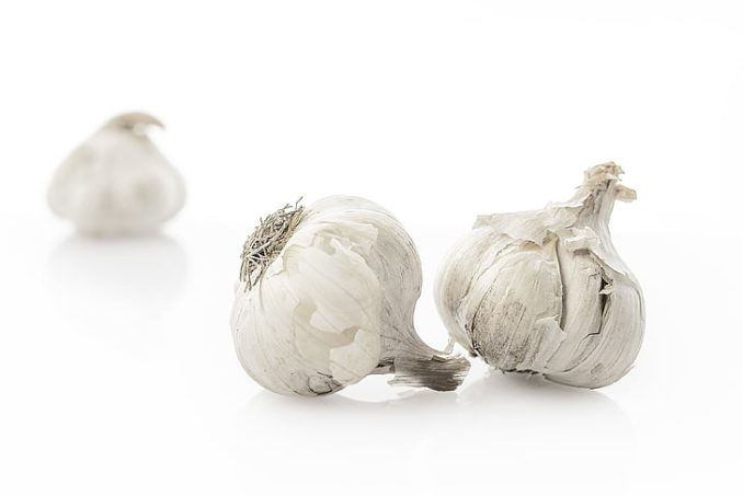 Garlic