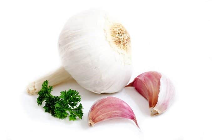 Garlic