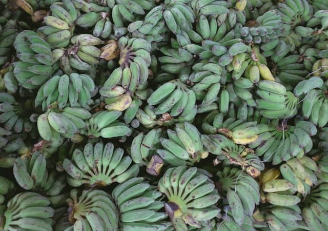 Green Plantains