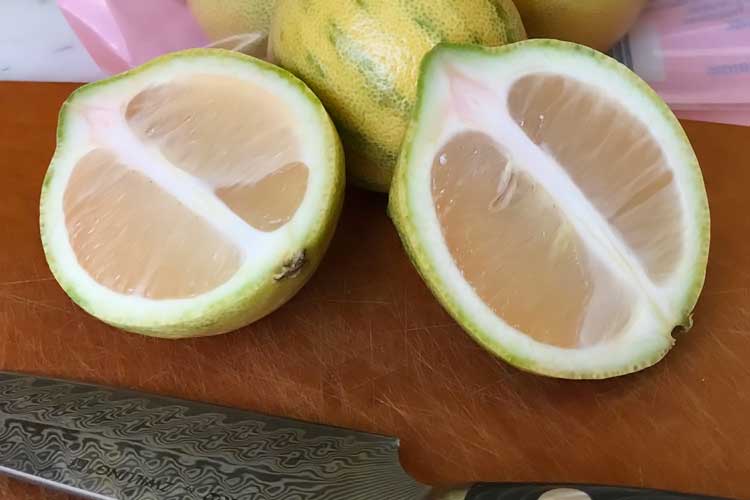 what the inside of a pink lemon looks like