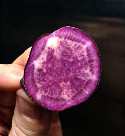 cross section of raw purple potato