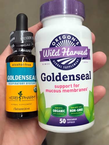 liquid goldenseal and bottle of organic capsules