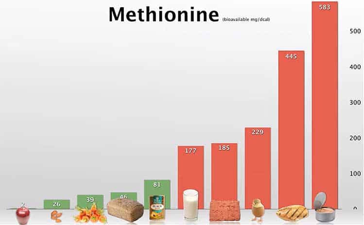 methionine levels in foods