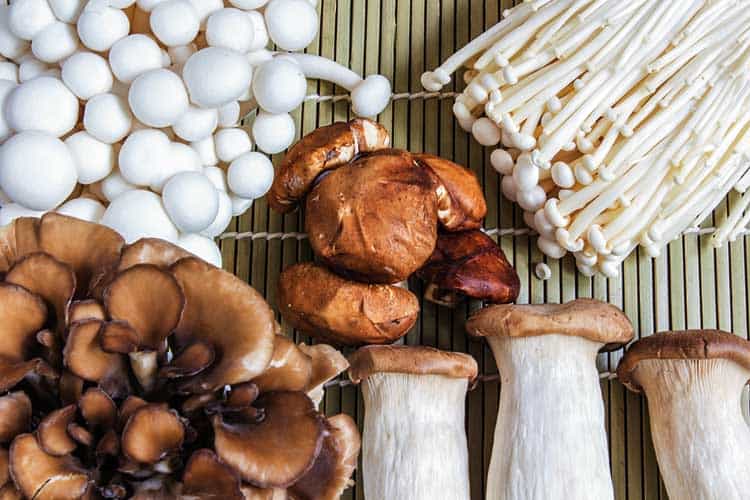 different types of mushrooms