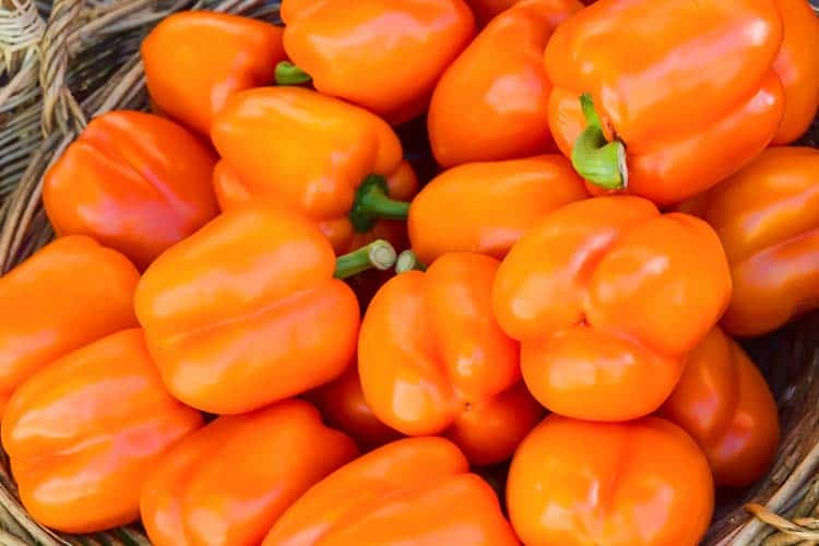 basket of fresh orange bell peppers