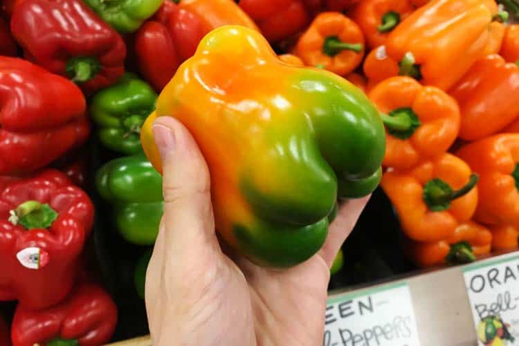 holding a fresh orange, yellow and green bell pepper