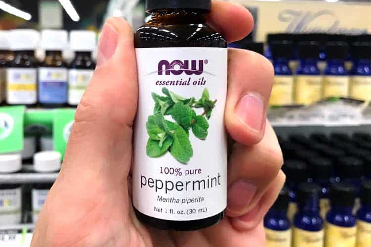 Now peppermint essential oil