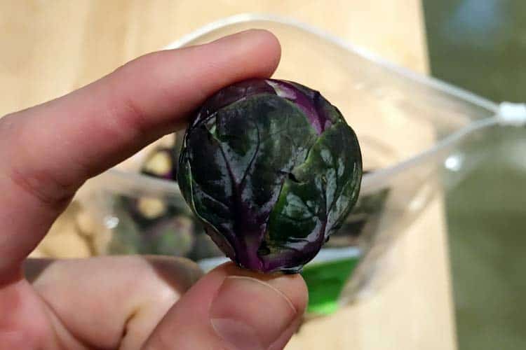 close-up of purple Brussels sprout