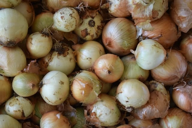 Raw Onions