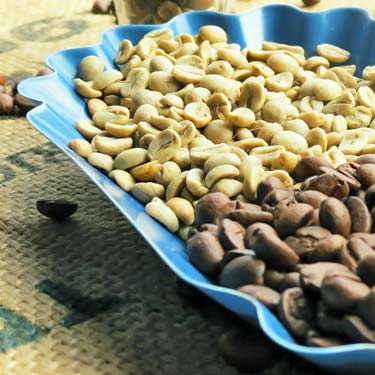 raw unroasted and roasted coffee beans in dish