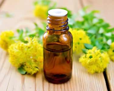 rhodiola rosea essential oil