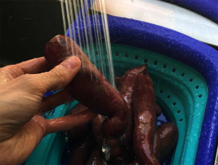 rinsing potatoes in sink